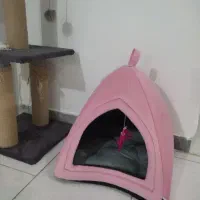 خونه پت