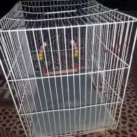 قفس