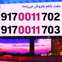 0011 جفت کمیاب