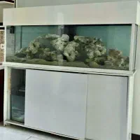 اکواریم ۱۸۰در۱۸۰ در۶۰