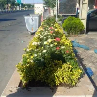 خدمات باغبانی کارهای باغچه تعویض خاک گلدون گل کاری
