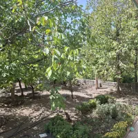 زمین-ویلایی-نمیر