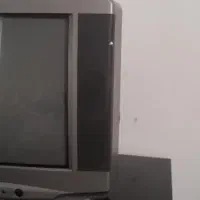 تلوزیون