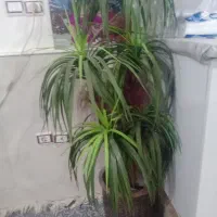 گل مصنوعی بزرگ