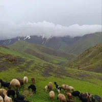 کمپینگ‌در طبیعت سارال