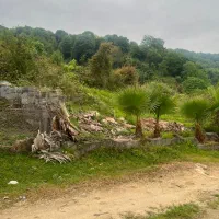 زمین مسکونی