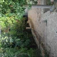 اجاره خانه‌باغ۳۵۰متری تمیزودنج ساعتی روزانه هفتگی