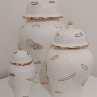 جینجر جار