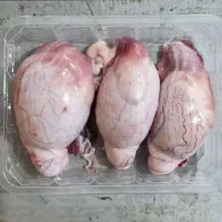 دنبلان گوسفندی تازه درجه یک کشتار روز