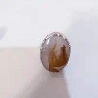 باسلام خبرخوب شجری