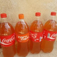 آبغوره و غوره شور