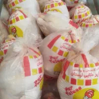 مرغ گرم تاریخ روز ۲۷۳