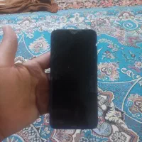 کوشی شیامی