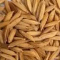 خریدار جو هاشمی ۱۰ تن