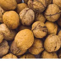 دو کیلو گردو