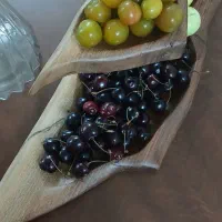 دیزاین مدرن