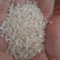 برنج علاء هشتبر،هاشمی اصل
