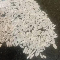 برنج دمسیاه مینودشت