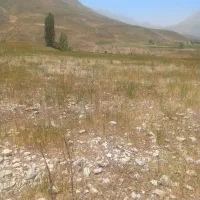 فروش-زمین-کشاورزی