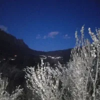 اجاره باغ ویلا روزانه دهبالا