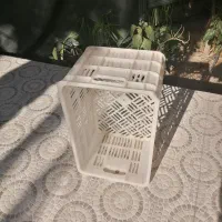 سبد خرما