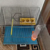 قفس پرنده