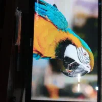 ال ای دی۴۳ ال جی ۴۳ سامسونگ ۴۶ پاتاسونیک نونو