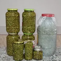 ترشی بنه کوهی