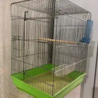 قفس کاسگویی و عروس هلندی