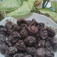 آلو خشک ارگانیک