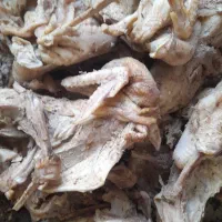 غذای پخته وخام سگ