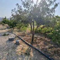 فروش-باغ