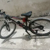 دوچرخه 26ویوا
