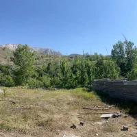 زمین ییلاقی ۲۵۰متری در روستای نوسر قابل ساخت