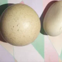 سنگ الماس اسیاب