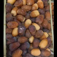 رطب