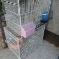 قفس جفتگاه کبوتر