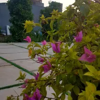 دعوت به همکاری مجموعه باغ|مشارکت در ساخت املاک|داراب, |دیوار