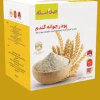جوانه گندم