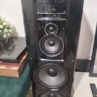 باند خانگی مارشال