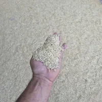جو درجه یک