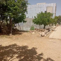 زمین بنسنجان فرعی 1