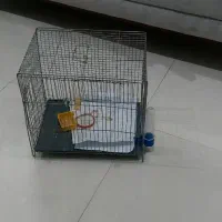قفس پرنده