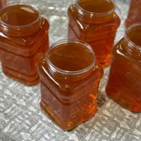 عسل طبیعی گون کوهستان