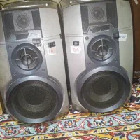 ضبط خانگی