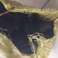 ذغال بادام درجه یک