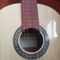 گیتار درحدنو