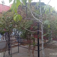 ویلایی ۱۶۰ متری فاز ۲