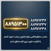 ۴ خط تلفن ثابت - ۱ خط رند ویژه + ۳ خط سریالی