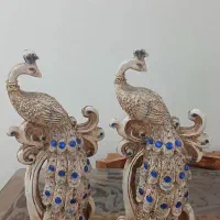 طاووس زیبا
